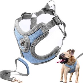 SAEGYPET الكلب Frenchie تسخير مع مجموعة المقود، لا سحب قابل للتعديل خطوة في أطواق الكلاب تسخير مع تنفس مبطن سترة تسخير للكلاب الصغيرة والمتوسطة والكبيرة التدريب والجري (M، رمادي)