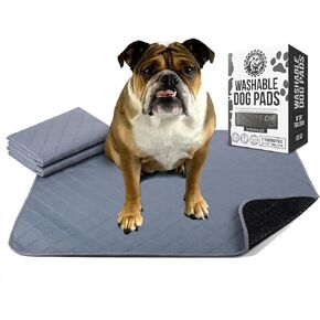 Bulldogology Premium Washable Pee Pads for Dogs, Reusable Puppy Pads, Waterproof Dog Mat, Dog Training Pads (24x24) 4-Pack