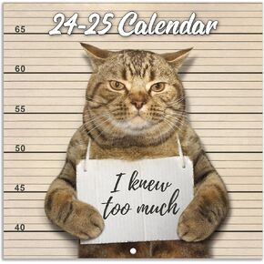 2025-2026 Wall Calendar - July 2025 - December 2026, Funny Cat Calendar 2025-2026, 18-Month Calendar, Funny Cat Memes Pics, 12" x 24" Opened, 2025 Calendar