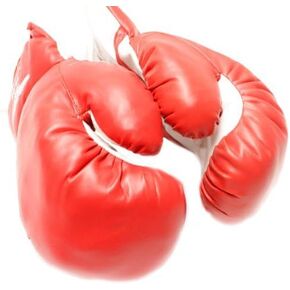 1 Pair of New Boxing/Punching Gloves and Fitness Training : Red - 10oz