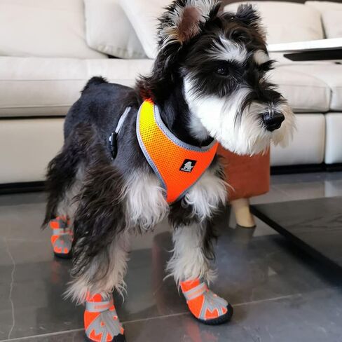 Dog Shoes for Small Dogs Boots,Mesh Breathable Dog Shoes with Reflective Straps,Puppy Booties with Anti-Slip Sole,Paw Protector for Outdoor Winter Snow Hot Pavement Hiking 4Pcs(GX02-orange-size1) in Saudi Arabia