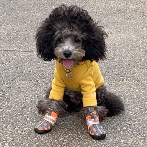 Dog Shoes for Small Dogs Boots,Mesh Breathable Dog Shoes with Reflective Straps,Puppy Booties with Anti-Slip Sole,Paw Protector for Outdoor Winter Snow Hot Pavement Hiking 4Pcs(GX02-orange-size1) in Saudi Arabia