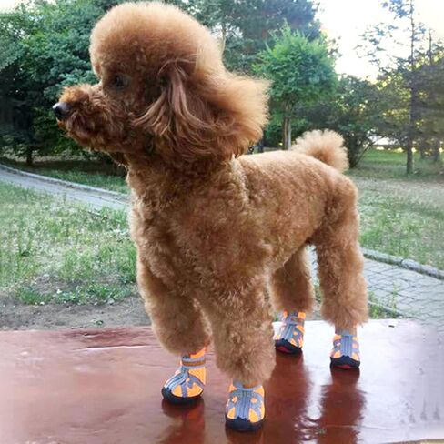 Dog Shoes for Small Dogs Boots,Mesh Breathable Dog Shoes with Reflective Straps,Puppy Booties with Anti-Slip Sole,Paw Protector for Outdoor Winter Snow Hot Pavement Hiking 4Pcs(GX02-orange-size1) in Saudi Arabia