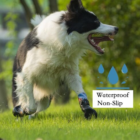 MenPetsonline Waterproof Dog Socks,Anti Slip Paw Protectors for Rain and Snow,Durable, Quiet, and Senior-Friendly Dog Boots for Small, Medium, Large Dogs. in Saudi Arabia