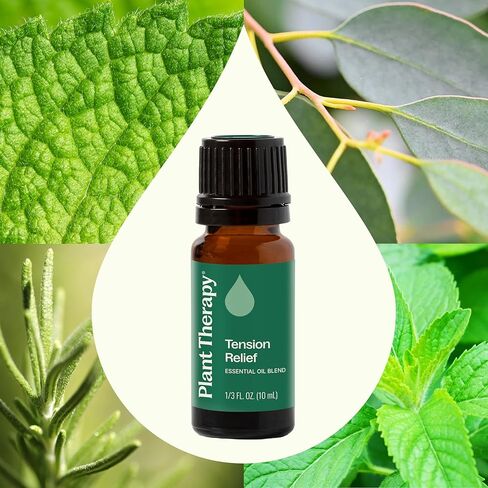 Plant Therapy Tension Relief Essential Oil Blend 30 mL (1 oz) 100% Pure, Undiluted, Therapeutic Grade in Saudi Arabia