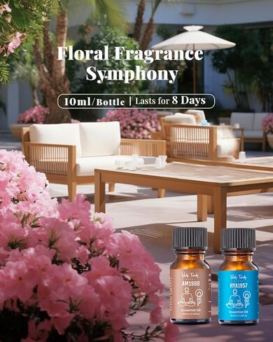 VTS Hotel Scented Essential Oils Set with Waterless Oil Diffuser, Aromatherapy Essential Oil Blends for Diffusers for Home, Luxury Hotel Scents - Inspired by 5 Star Hotels, Air Freshener Room Diffuser in Kuwait