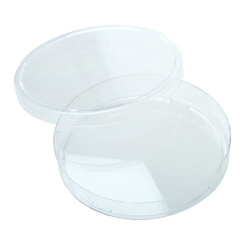 Celltreat 229695 Petri Dish, Sterile, 100 mm x 15 mm, 25 per Bag, Clear (Pack of 500) in Saudi Arabia
