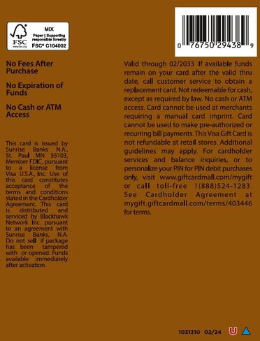 Visa $25 Gift Card (plus $3.95 Purchase Fee) in Saudi Arabia