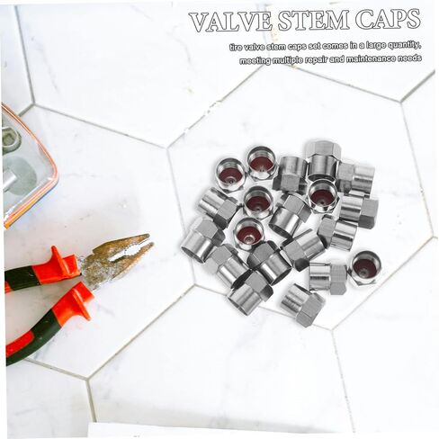 Generic 20PCS Stainless Steel Tire Valve Stem Caps for Cars Trucks Motorcycles Heavy Duty Easy to Install Covers for Enhanced Valve and Longevity in Saudi Arabia