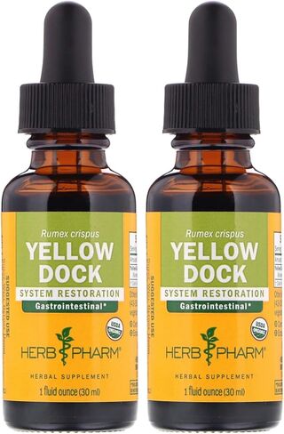 Herb Pharm Yellow Dock Liquid Extract for Digestive System Support - 1 Ounce in Kuwait