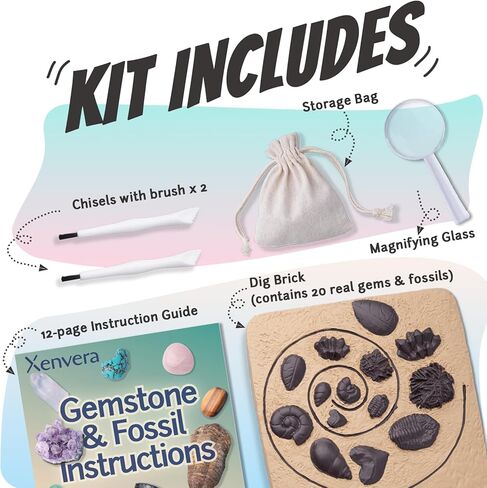 Gemstone and Fossil Dig Kit – Excavate 10 Gems and 10 Fossils, STEM Geology Set, Educational Toy, Science Kit for Kids Ages 8+ in Saudi Arabia