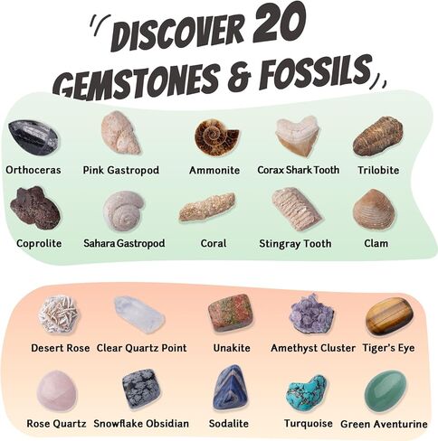 Gemstone and Fossil Dig Kit – Excavate 10 Gems and 10 Fossils, STEM Geology Set, Educational Toy, Science Kit for Kids Ages 8+ in Saudi Arabia
