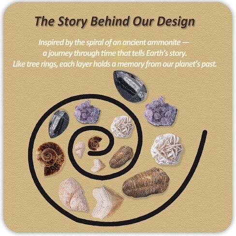 Gemstone and Fossil Dig Kit – Excavate 10 Gems and 10 Fossils, STEM Geology Set, Educational Toy, Science Kit for Kids Ages 8+ in Saudi Arabia