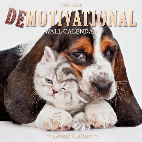The 2026 Demotivational Wall Calendar (A funny, uninspirational, and humorous 12"x24" (open) monthly calendar. Makes a great gag gift/white elephant present) in Saudi Arabia
