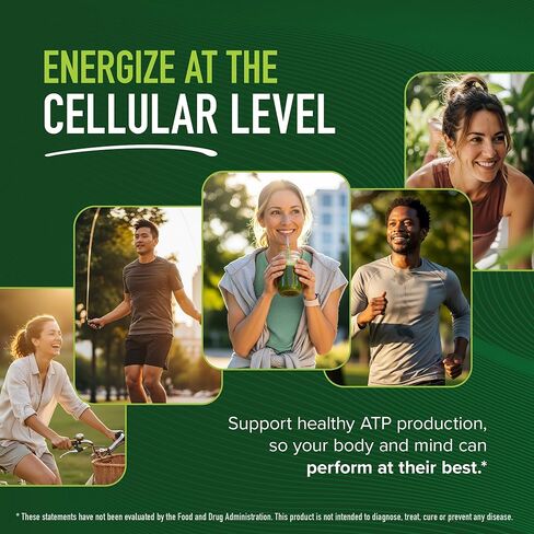 PQQ Supplement 20mg | Mitochondrial Biogenesis & Energy Optimizer With CoQ10 & Vitamin B12 | Supports Brain Health & Mitochondria Production | Ultra PQQ Formula | Vegan, Gluten-Free | 60 Capsules in Kuwait