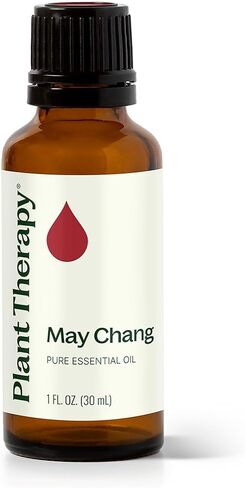 Plant Therapy May Chang (Litsea Cubeba) Essential Oil 30 mL (1 oz) 100% Pure, Undiluted, Therapeutic Grade in Kuwait
