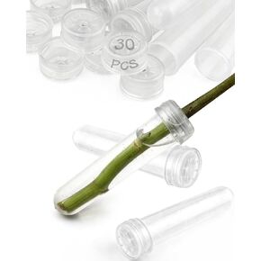 30 عبوة من أنابيب المياه الزهرية مع أغطية من Geuoaoa، أنبوب مياه زهرة واحدة 3.7 بوصة 23 مل، قوارير بلاستيكية لأعشاب الحليب والنباتات وإكسسوارات الباقة ومستلزمات الزهور in Kuwait