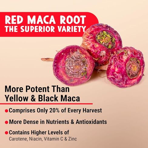 كبسولات جذر الماكا 4 في 1 من Maju Superfoods، جذور عضوية سوداء وصفراء وحمراء مع مستخلص الفلفل الأسود للامتصاص (120 قيراط) | منتج بيرو، مسحوق بيرو، مكمل غذائي للرجال والنساء، 60.000 ملغ in Kuwait