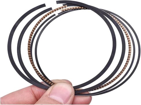 250CC 48mm 48.25mm 48.5mm STD +25 +50 Add 0.25 0.5 Motor bike Engine Cylinder Piston Rings Compatible With Yamaha FZ250 FZ Fazer 250 1985(Add 0.25) in Saudi Arabia