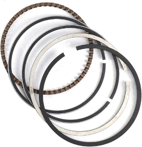 250CC 48mm 48.25mm 48.5mm STD +25 +50 Add 0.25 0.5 Motor bike Engine Cylinder Piston Rings Compatible With Yamaha FZ250 FZ Fazer 250 1985(Add 0.25) in Kuwait