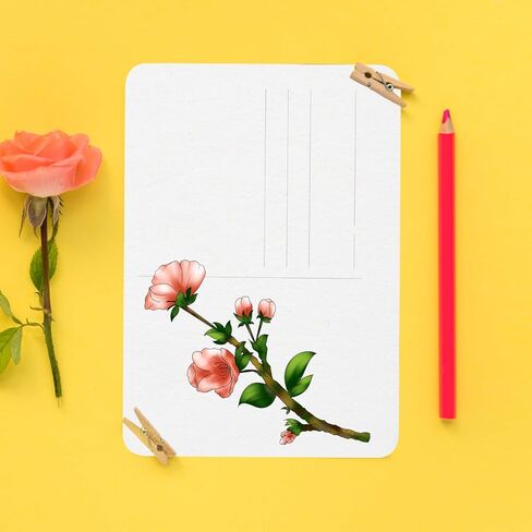 24pcs Watercolor Postcards, 4x6 inch Blank Watercolor Cards 140lb Watercolor Paper Cards Art Supplies for DIY Greeting Cards Thank You Notes Invitation (Rough Textured) in Saudi Arabia