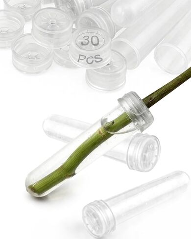 30 عبوة من أنابيب المياه الزهرية مع أغطية من Geuoaoa، أنبوب مياه زهرة واحدة 3.7 بوصة 23 مل، قوارير بلاستيكية لأعشاب الحليب والنباتات وإكسسوارات الباقة ومستلزمات الزهور in Kuwait