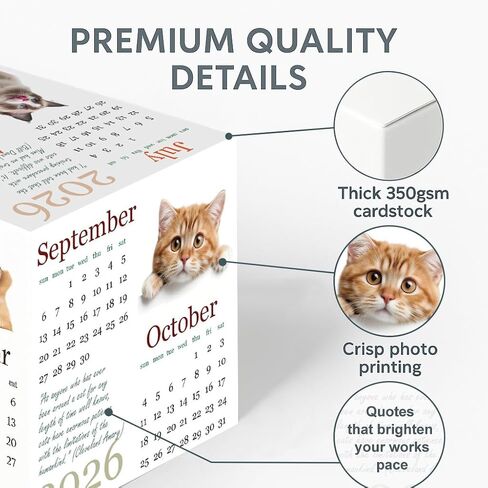 2026 Cube Desk Calendar – Small 10×10 cm Desktop Block Calendar with Cute Cat Photos & Quotes, Mini Desk Decor for Home & Office, Cat Lover Desk Accessory in Saudi Arabia