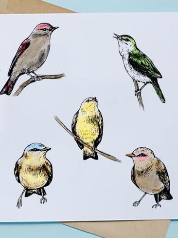 Thank Birds Clear Stamps for Card Making, Bird Stamps for Crafting Decoration, Animals Thankful Words Silicone Transparent Rubber Stamps for DIY Scrapbooking Embossing Album Decor Crafts Supplies in Saudi Arabia