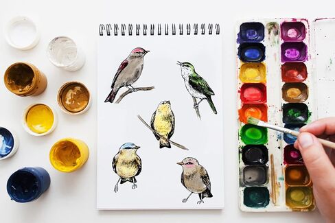 Thank Birds Clear Stamps for Card Making, Bird Stamps for Crafting Decoration, Animals Thankful Words Silicone Transparent Rubber Stamps for DIY Scrapbooking Embossing Album Decor Crafts Supplies in Saudi Arabia