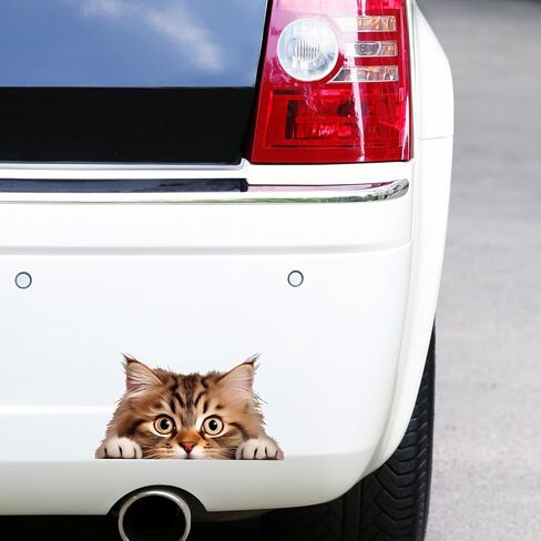 2Pcs Cute Peeking Sneaky Cat Car Sticker, Funny Cat Car Bumper Sticker, 11.8 × 6 in Vinyl Decal for Cars,Windows,Laptops, Motorcycle Wall in Saudi Arabia