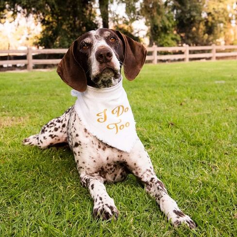 Willowear Dog Bandanas I Do Too Gold XLarge in Saudi Arabia
