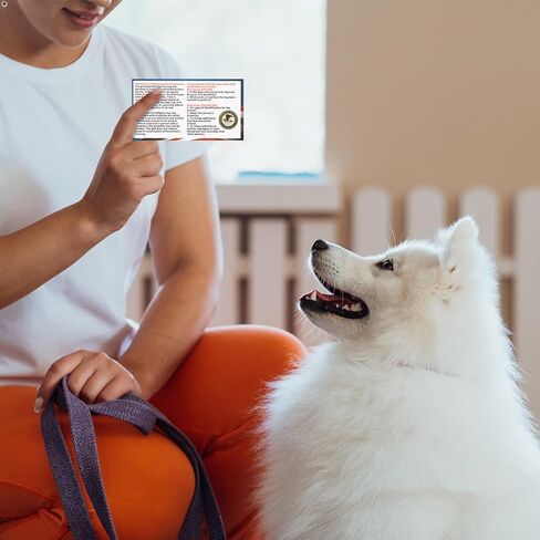 50pcs Service Dog Law Cards, ADA Service Animal Id Badge Gear Stuff Information Cards Tag Registration Certificate Print on Both Sides States Handler's Legal Rights to Uninformed Business Personnel in Saudi Arabia