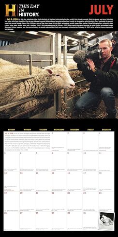 2026 History Channel This Day in History Wall Calendar: 365 Remarkable People, Extraordinary Events, and Fascinating Facts (Moments in HISTORY™ Calendars) in Saudi Arabia