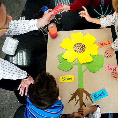 شريط رسامين ملون 1 بوصة 1/2 بوصة - شريط لاصق بألوان قوس قزح 14 حزمة × 16 ياردة - شريط ورقي متعدد الألوان لحرف الأطفال، وضع العلامات على الصناديق، ديكور أرضية الفصول الدراسية للمعلمين in Kuwait