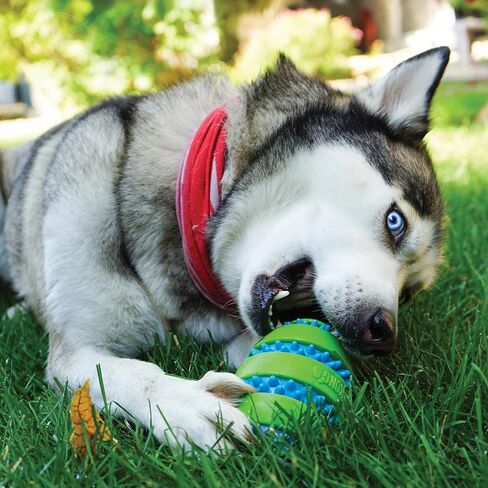 KONG Squeezz Goomz Ball Lg in Saudi Arabia
