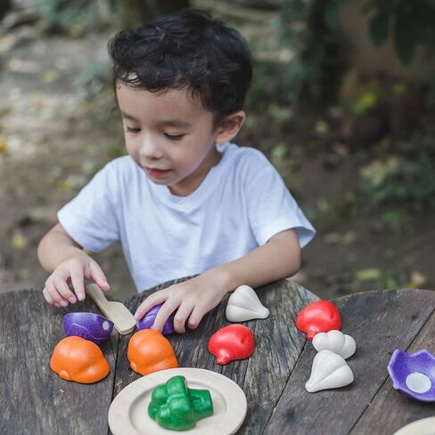 PlanToys- Eco-Friendly Educational Toy, Multi-Color (3431) in Kuwait