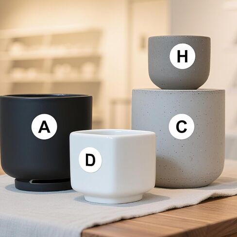 Letter C Round Stickers 1.5 Inch Vinyl Circle Capital Alphabet Initial Labels Self-Adhesive Removable Waterproof Dots Tags for Home Office Inventory 500 PCS in Kuwait