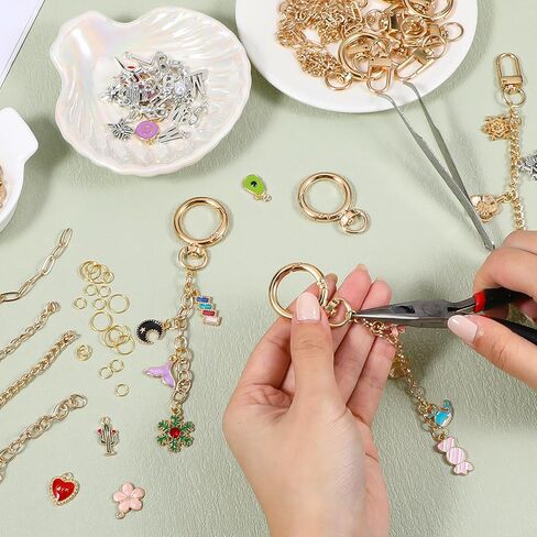 Meyeyaia 325pcs DIY Keychain Kit,Including 20 Keychain Clips 25 Extender Chain 118 Charms Jewelry Plier, Bag Charm Kit,Keychains Making Kits for DIY Crafting and Jewelry Making in Saudi Arabia