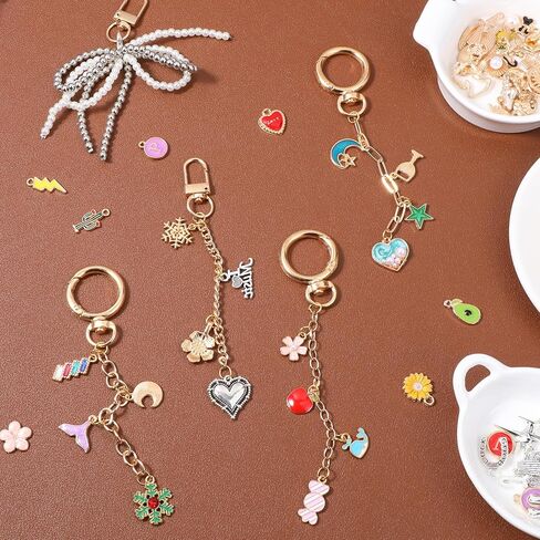 Meyeyaia 325pcs DIY Keychain Kit,Including 20 Keychain Clips 25 Extender Chain 118 Charms Jewelry Plier, Bag Charm Kit,Keychains Making Kits for DIY Crafting and Jewelry Making in Saudi Arabia