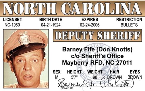 Signs 4 Fun Parody ID | Barney Driver’s License | Fake ID Novelty Card | Collectible Trading Card Driver’s License | Novelty Gift for Holidays | Made in The USA in Saudi Arabia