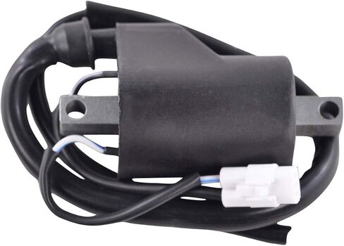 RMSTATOR External Ignition Coil Replacement for Polaris 600 800 Pro RMK/Switchback Assault/SKS/IQ EFI/Rush Pro-S/Titan/Indy Voyageur 2005-2024 | 4017656 4012136 4014514 4014010 4014009 in Saudi Arabia
