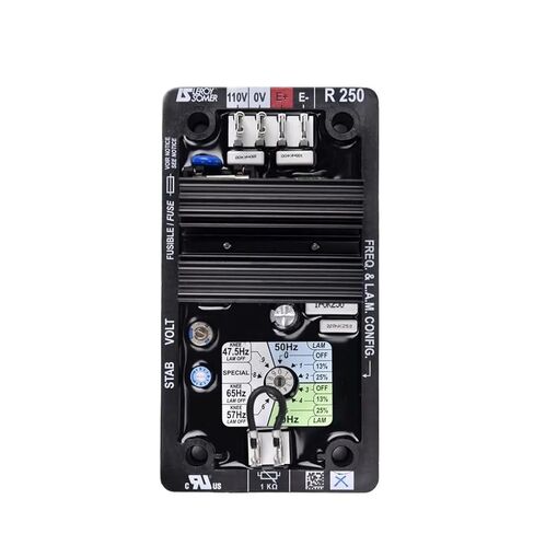Voltage Regulator Brushless Diesel Generation System Set Accessories R250 Automatic Voltage Regulator Generator Parts Module Circuit Alternator(R250 Copy) in Saudi Arabia