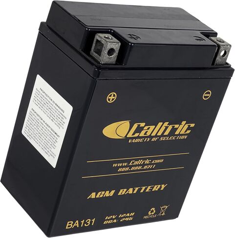 Caltric Agm Battery Compatible with Yamaha Breeze 125 Yfa1 1989 1991 1992 1993 1994 1995-2004 in Saudi Arabia