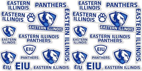 Desert Cactus Eastern Illinois University Sticker EIU Panthers Stickers Vinyl Decals Laptop Water Bottle Car Scrapbook T2 (Type 2) in Saudi Arabia