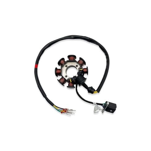 Motorcycle 8/12 Pole Magneto Fly Wheel Rotor Generator Stator Coil Ignition for ZONGSHEN ZS174MN-3 CBS300 ZS174MN-5 NB300(12-Poles Rotor) in Saudi Arabia