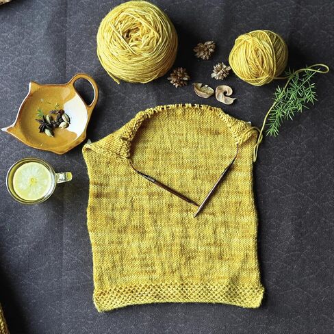 مجموعة إبرة KnitPro Ginger Grande القابلة للتبديل مقاس 4 بوصات (10 سم) | 13 مقاسًا أمريكيًا (3 إلى 17) in Saudi Arabia