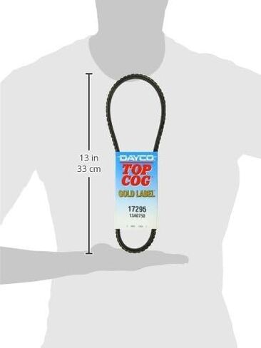Dayco 17295 Fan Belts in Saudi Arabia
