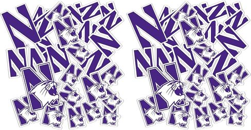Desert Cactus Northwestern University Wildcats Stickers Vinyl Decals Laptop Water Bottle Car Scrapbook 11.46x8.94 Sheet T1 (Type 1-1) in Saudi Arabia