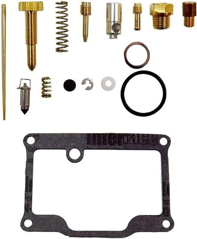 Genuine Carburetor Repair Kit Rebuild Carb Kit for Polaris Trail Blazer 250 2001-2006 Genuine OEM Replacement in Saudi Arabia