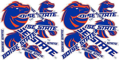 Desert Cactus Boise State University Broncos Stickers Vinyl Decals Laptop Water Bottle Car Scrapbook T1 (Type 1-1) in Saudi Arabia